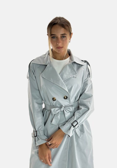 Elara Between-seasons coat in L in Light grey, Item view