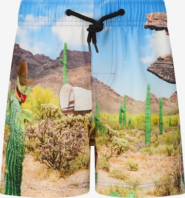 ZigZag Board Shorts 'Tino' in Blue: front