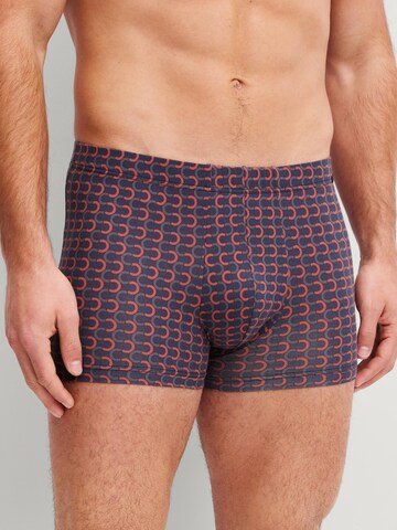CALIDA Boxer shorts 'Grafic Cotton' in Grey