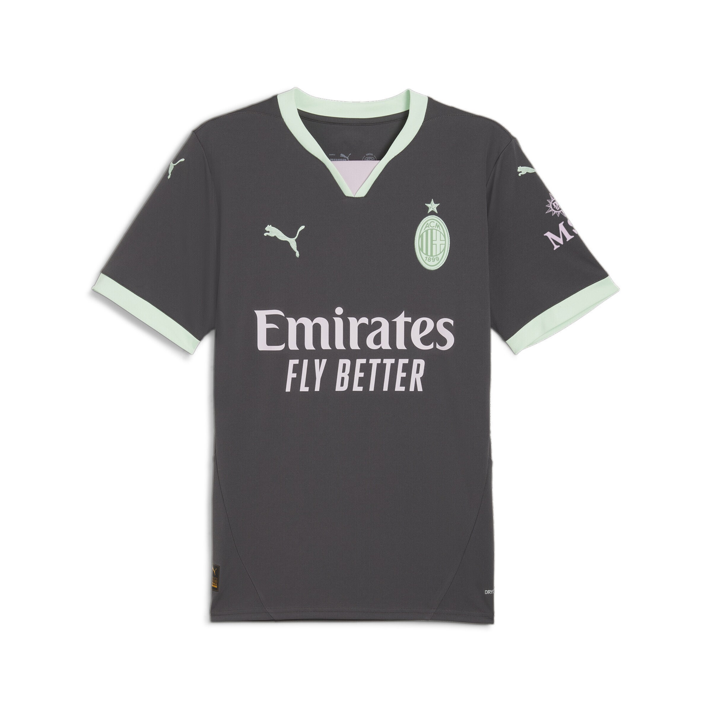 Maillot 'AC Milan 24/25' PUMA en gris : devant