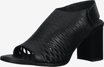 Sandalo di IGI&CO in nero: frontale