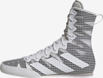 Chaussure de sport ' Box Hog 4 ' ADIDAS PERFORMANCE en gris : devant