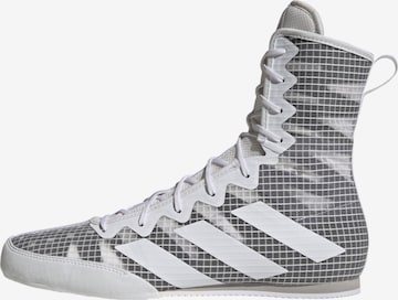 ADIDAS PERFORMANCE Athletic Shoes ' Box Hog 4 ' in Grey: front