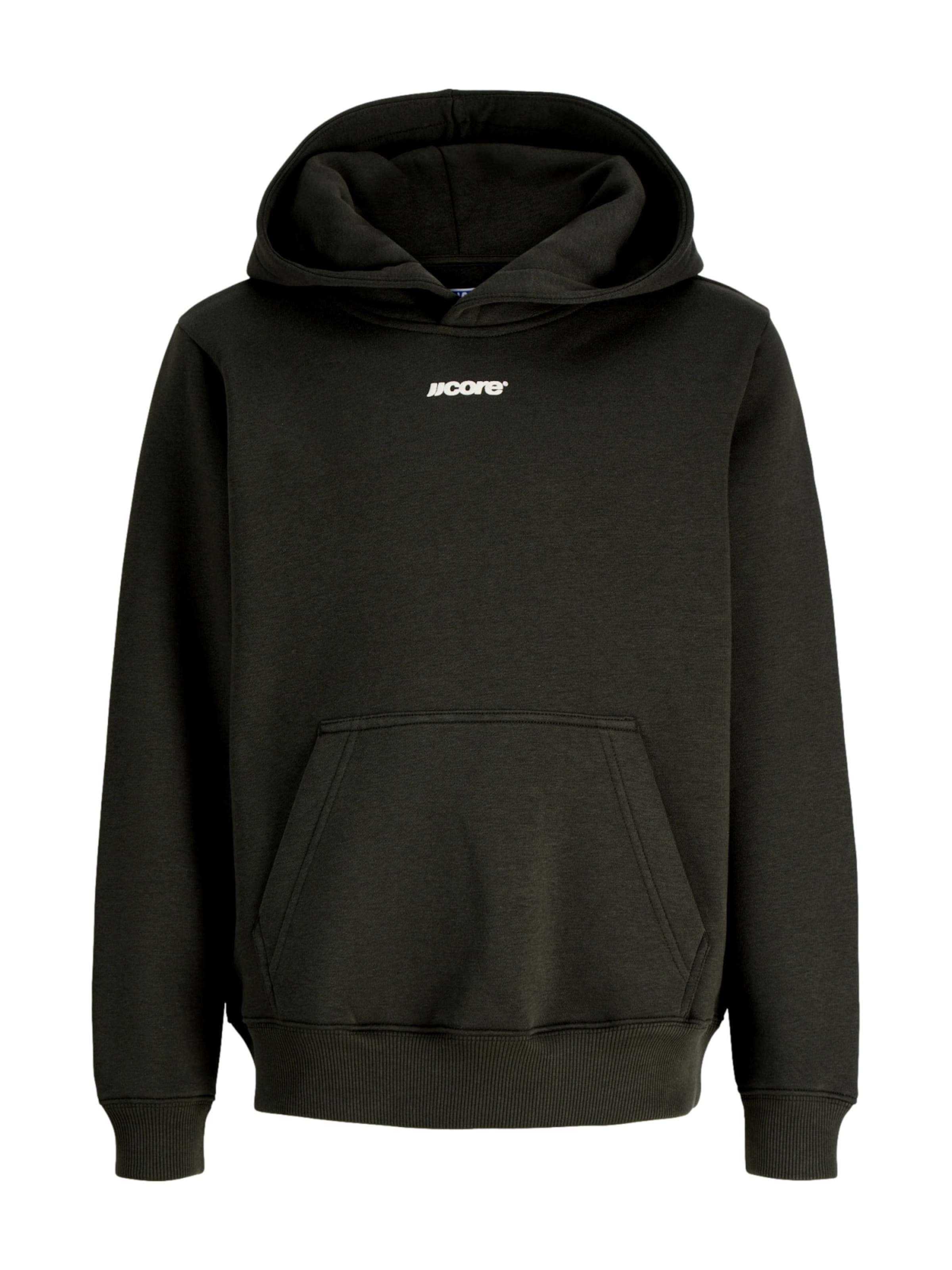 Jack & Jones Junior Sweatshirt 'JCOCLUB' in Green: front