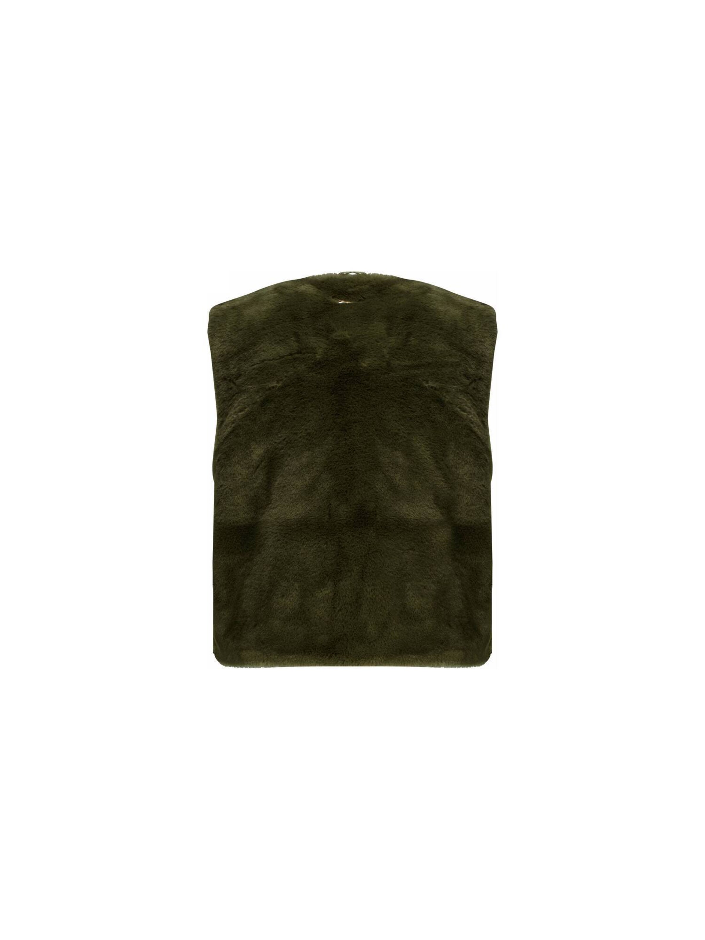 Deeluxe Bodywarmer 'Fuzzy' in Groen