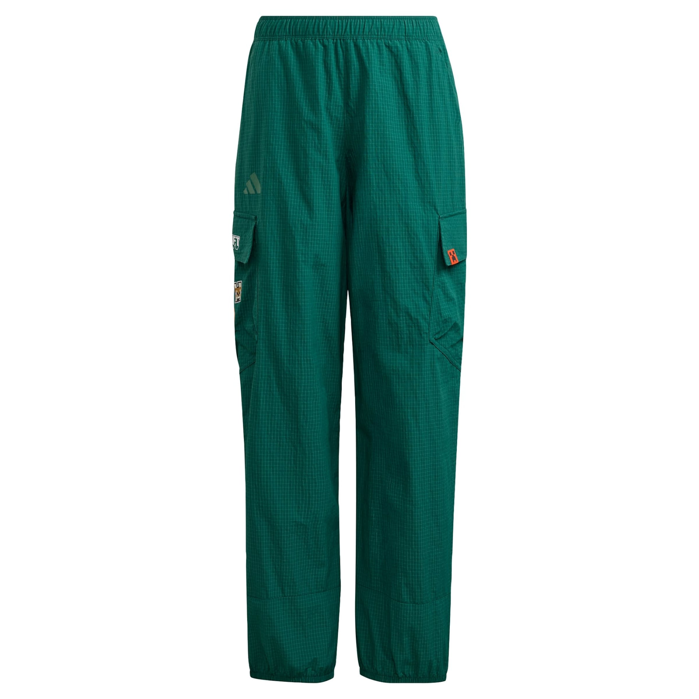 ADIDAS TERREX - regular Pantalón de montaña 'Adidas x Minecraft' en verde: frente