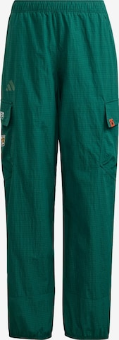 ADIDAS TERREX - Pantalón de montaña 'Adidas x Minecraft' en verde: frente