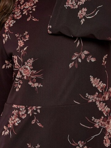 Hiccup Dress in Brown