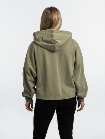Calvin Klein Jeans Sweatshirt in Grün