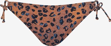 OLYMPIA Bikinihousut värissä ruskea: etupuoli