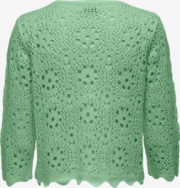 Pull-over 'Natasha' JDY en vert