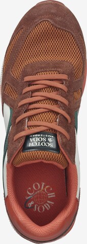 Baskets SCOTCH & SODA en marron