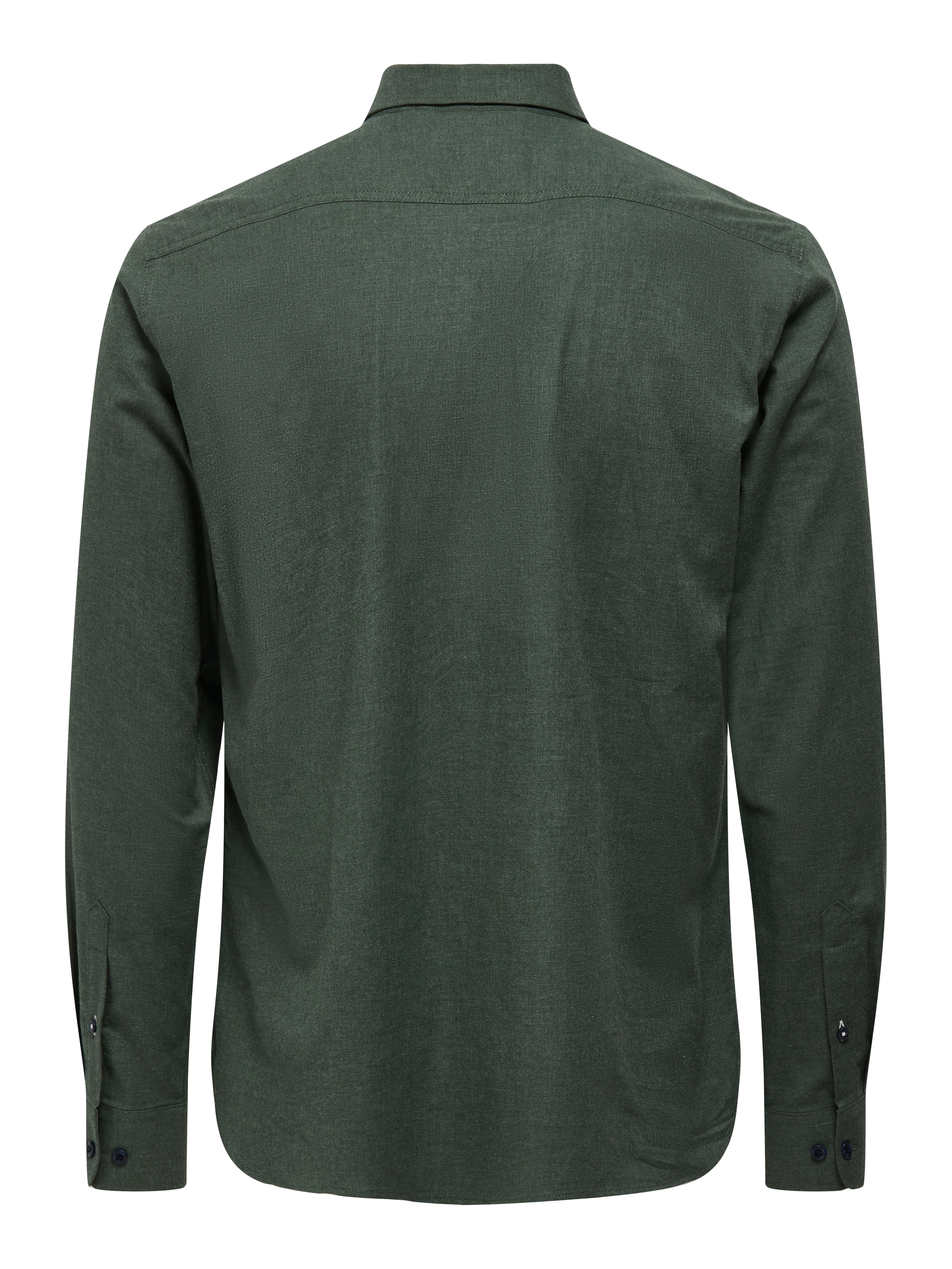 Only & Sons Regular fit Πουκάμισο 'ONSRoad' σε πράσινο