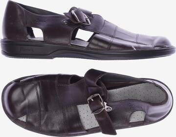 SIOUX Sandals & Slippers in 43 in Black: front