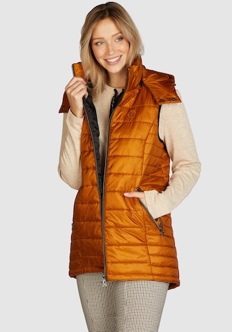 Navigazione Vest in Brown: front