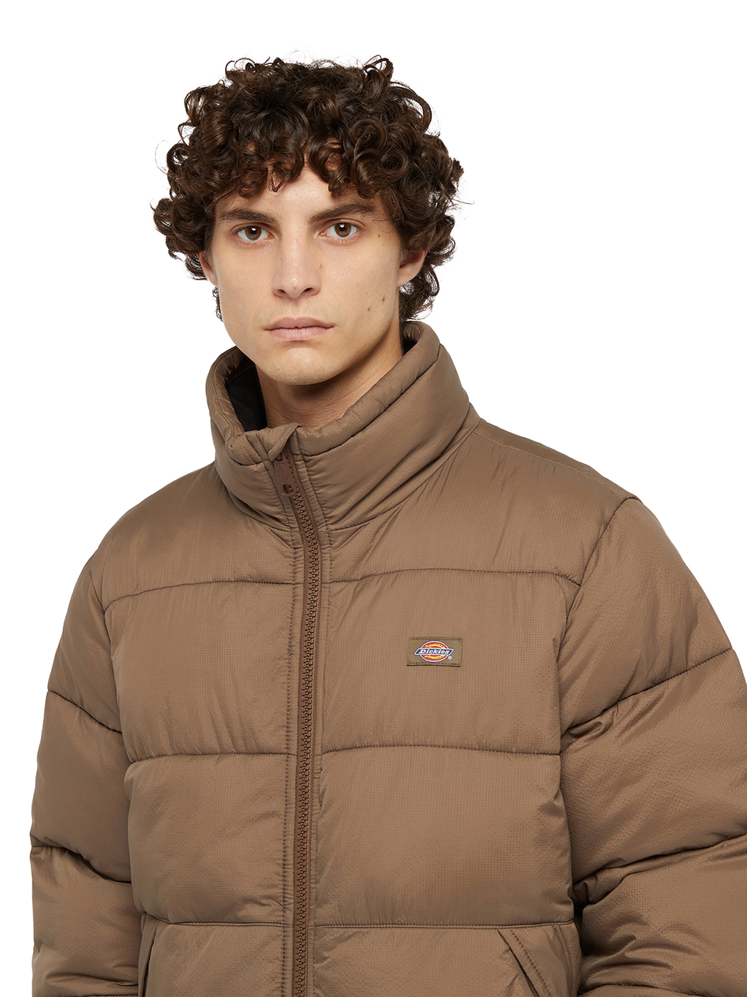Veste d’hiver 'WALDENBURG' DICKIES en marron