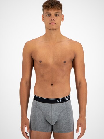 Shiwi Regular Boxer shorts 'Solid' in Grey: front