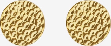 Heideman Earrings in Gold: front