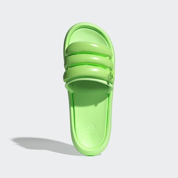 ADIDAS SPORTSWEAR Beach & swim shoe ' ZPLAASH ' in Green