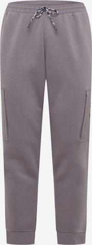 ADIDAS SPORTSWEAR Spodnie sportowe 'Essentials Brandlove Fleece' w kolorze szary: przód
