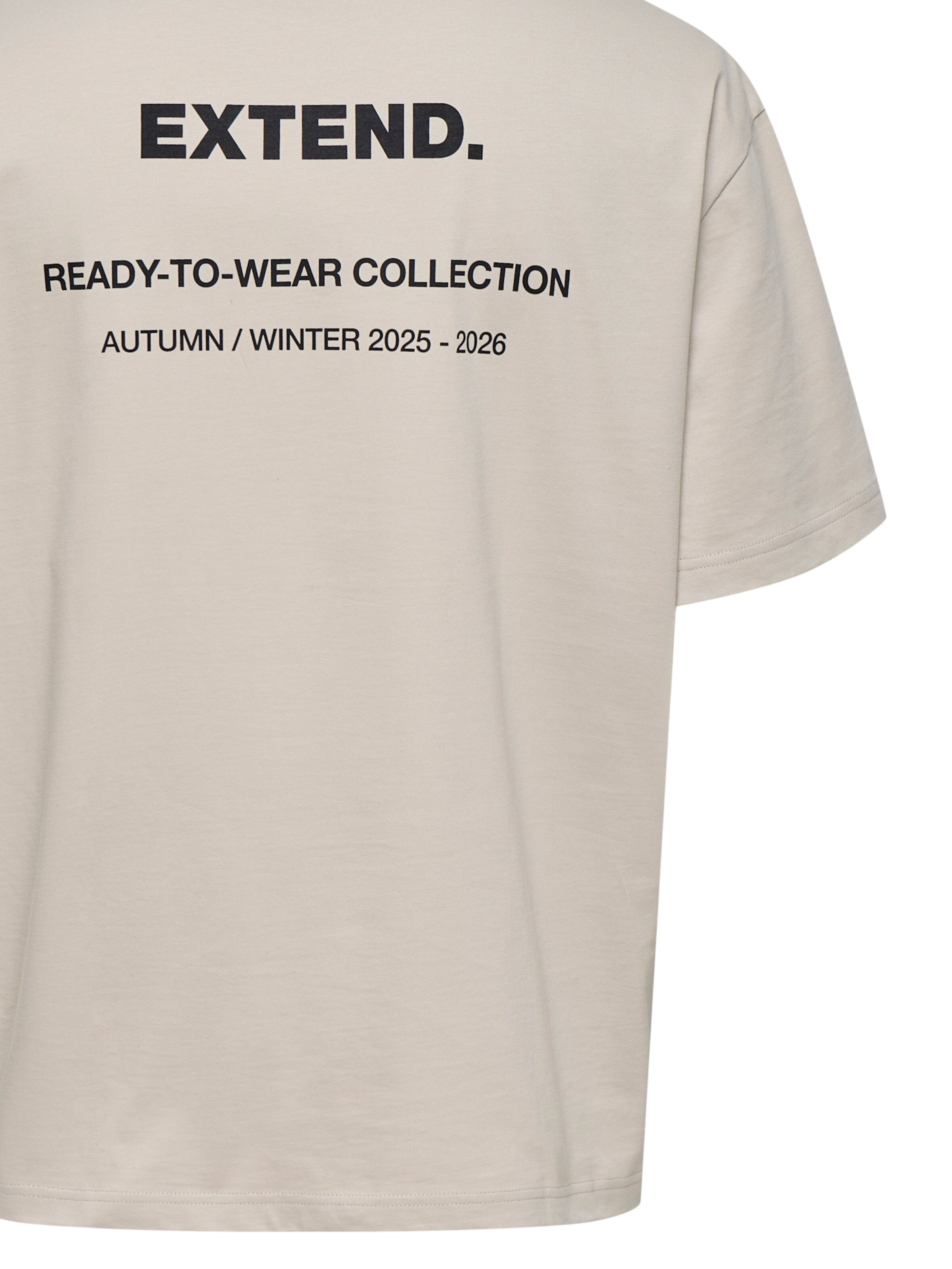 Tricou 'LALE' de la TOM TAILOR pe bej