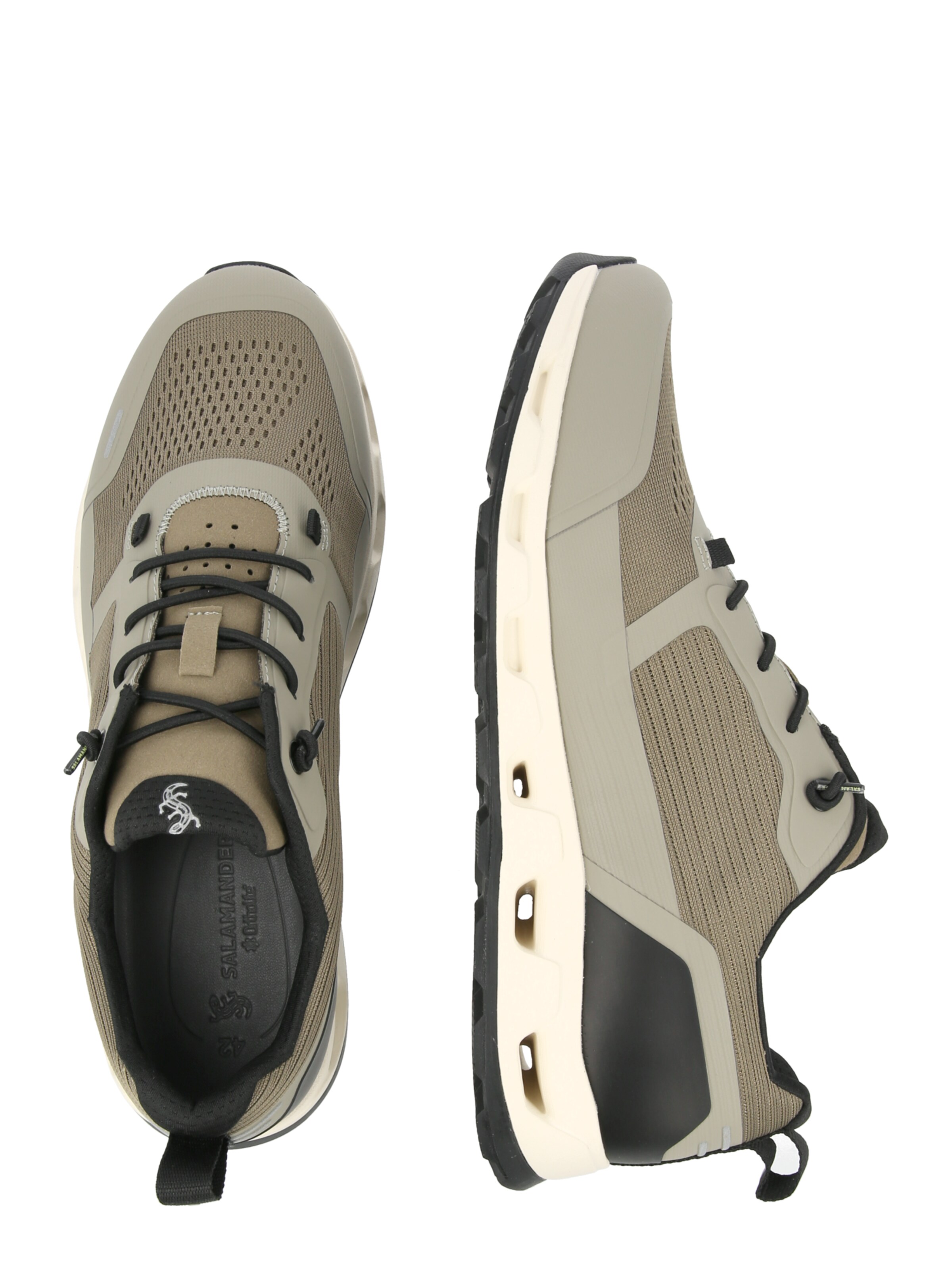 SALAMANDER Σνίκερ χαμηλό σε πράσινο