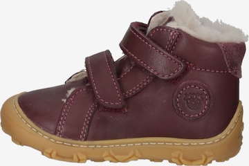 Pepino Boots in Brown