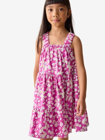 Next Kleid in Pink: Vorderseite