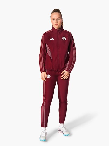 FC BAYERN MÜNCHEN Regular Sporthose ' Ucl Teamline ' in Rot