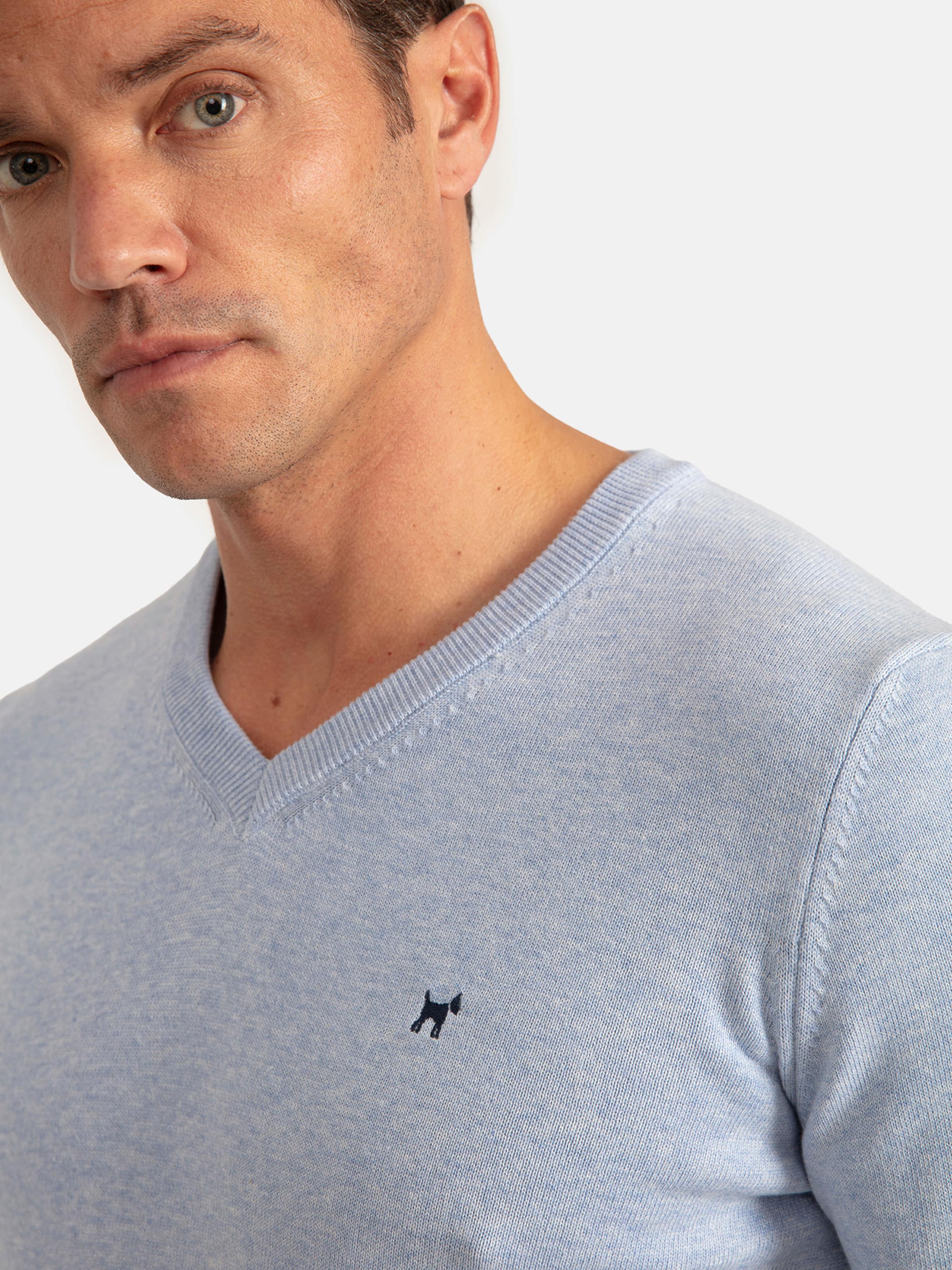 Hollister trui v hals hotsell