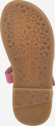 LURCHI Sandal 'ZEHRA' i rosa