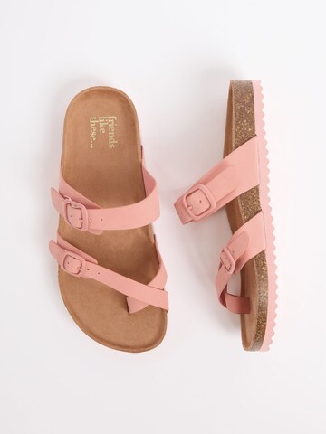 Friends Like These Žabky – pink