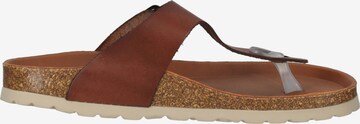 COSMOS COMFORT T-Bar Sandals in Brown