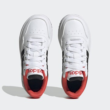 ADIDAS ORIGINALS Trainers 'Hoops 3' in White