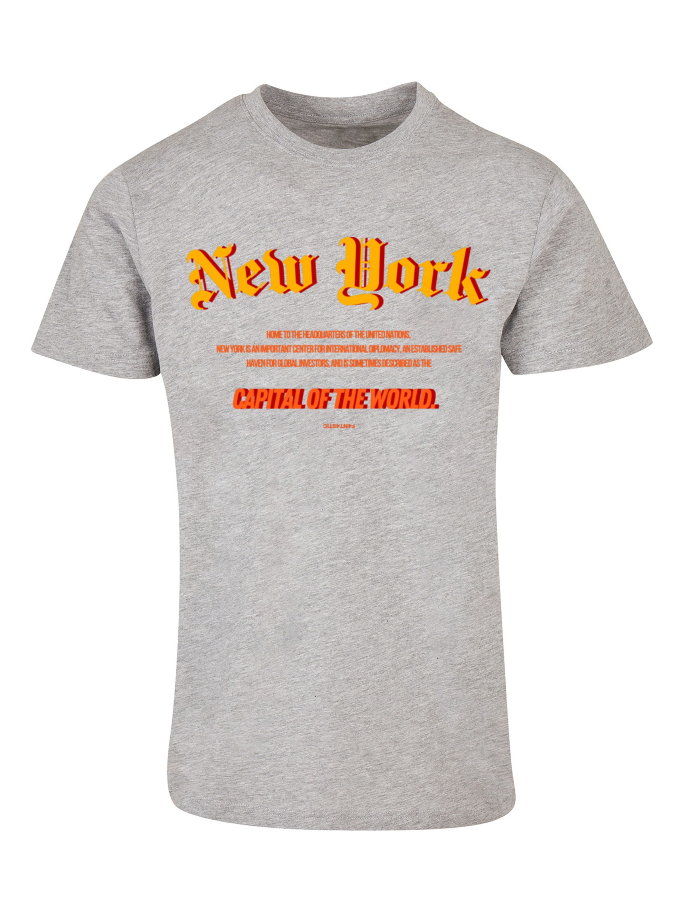 F4NT4STIC Shirt in Grey: front