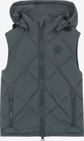 Scalpers Bodywarmer in Groen: voorkant