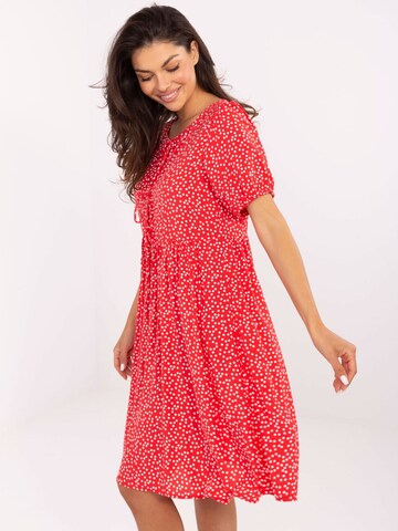 Madnezz House Kleid in Rot
