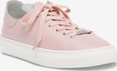 STEVE MADDEN Athletic Lace-Up Shoes 'Womens Dorey-Sm Pink Lace-Up Low-Profile Shoes' in 36 in Rose, Item view