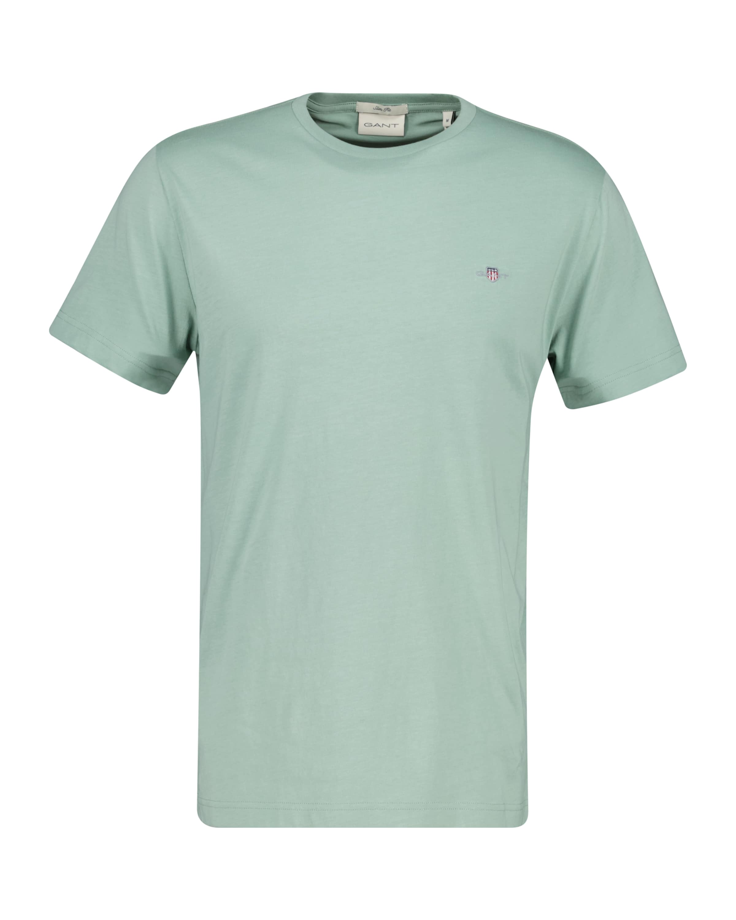 GANT Shirt in Green: front