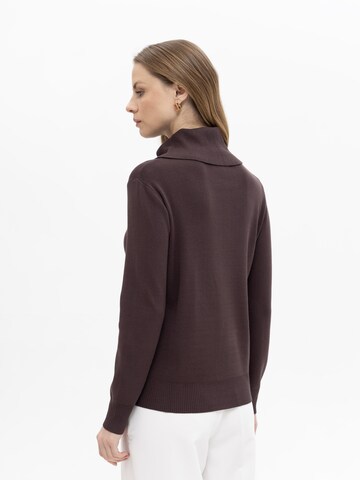 Passioni Sweater in Brown