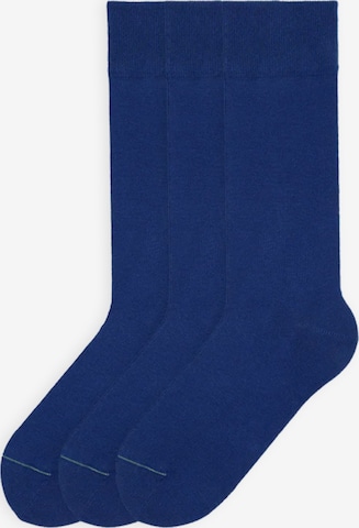 Von Jungfeld Socken 'Colour' in Blau: Vorderseite