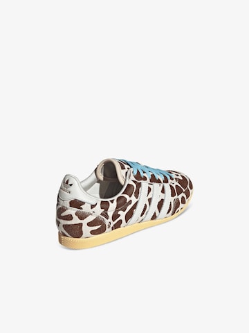 Baskets basses ADIDAS en beige