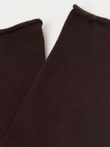 CALZEDONIA Socks in Brown