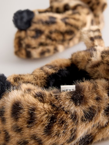 Next Toasuss, värv pruun