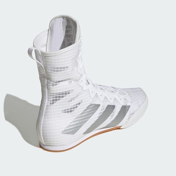 Chaussure de sport 'Box Hog 4' ADIDAS PERFORMANCE en blanc