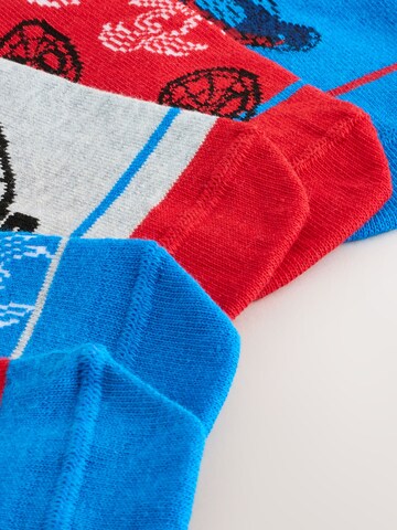 Chaussettes Next en mélange de couleurs