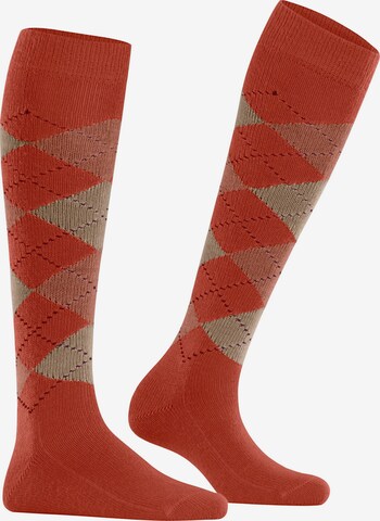 BURLINGTON Over the Knee Socks 'Whitby' in Pink: front