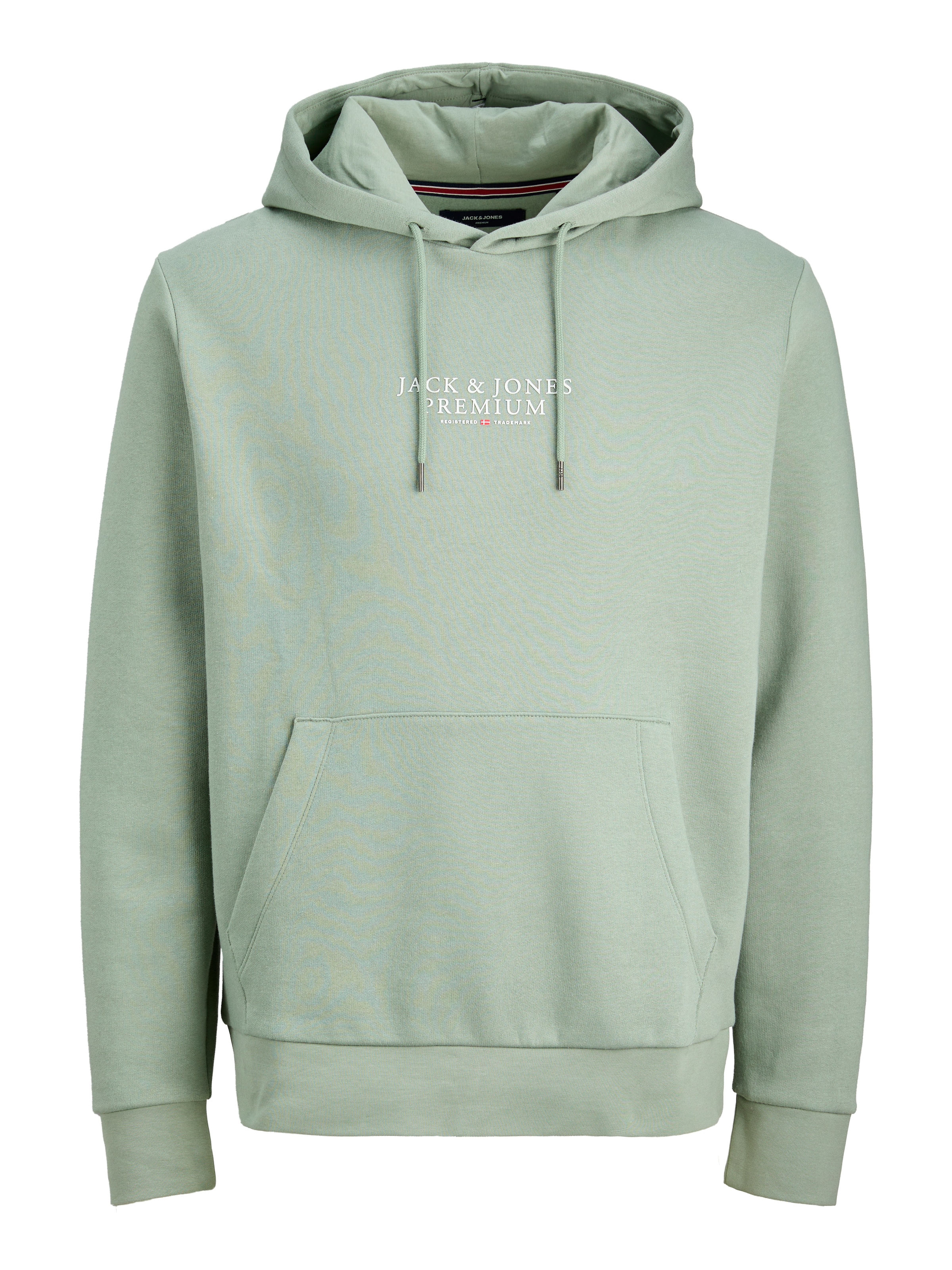JACK & JONES Sweatshirt 'JPRBLUArchie' in Grün: Vorderseite