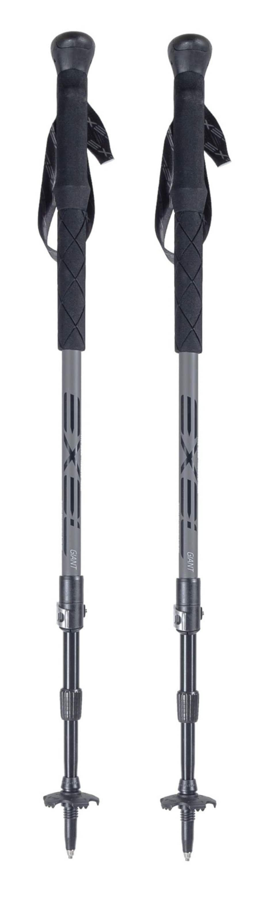 Bâtons 'GIANT' EXEL en noir : devant