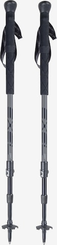 Bâtons 'GIANT' EXEL en noir : devant